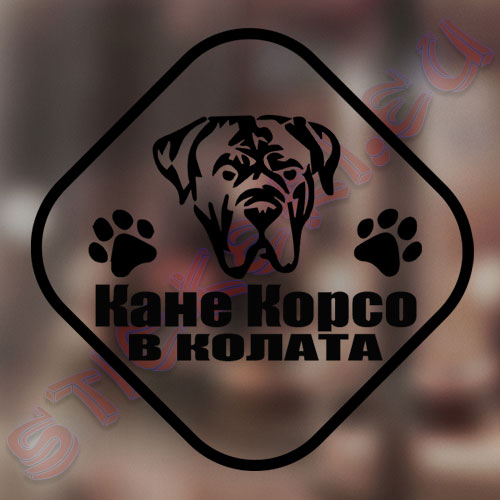 Стикер Кане Корсо в колата