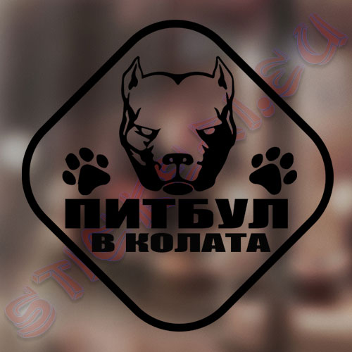Стикер пит бул в колата